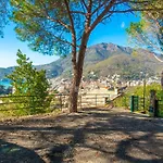 Olivi Del Mesco * Levanto