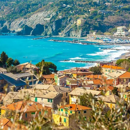 Nyaraló Olivi Del Mesco