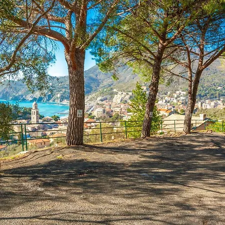 Olivi Del Mesco * Levanto