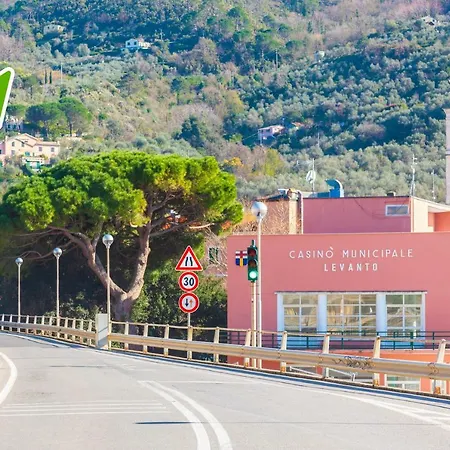 Olivi Del Mesco * Леванто