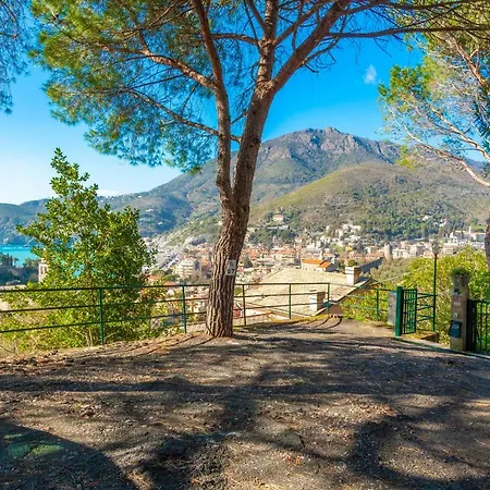 Olivi Del Mesco * Levanto