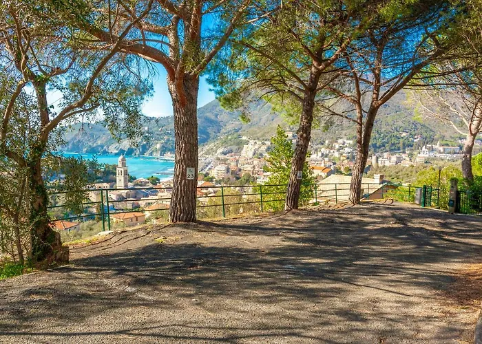 Olivi Del Mesco * Levanto