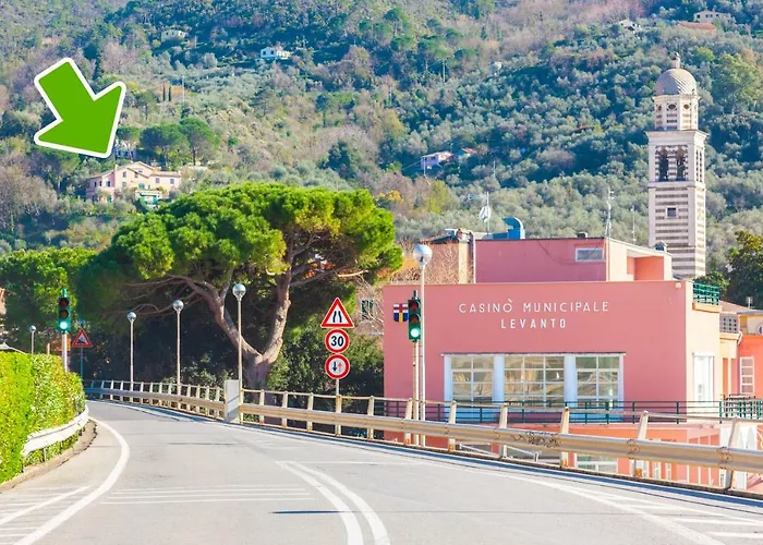 Olivi Del Mesco * Levanto