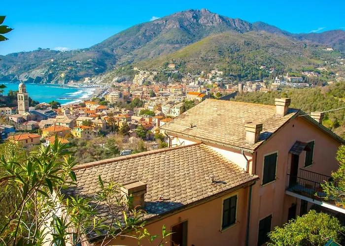 Olivi Del Mesco * Levanto