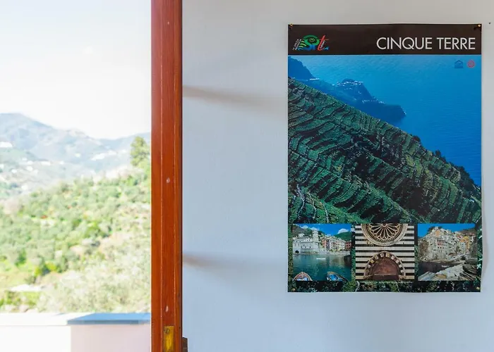 Olivi Del Mesco Levanto