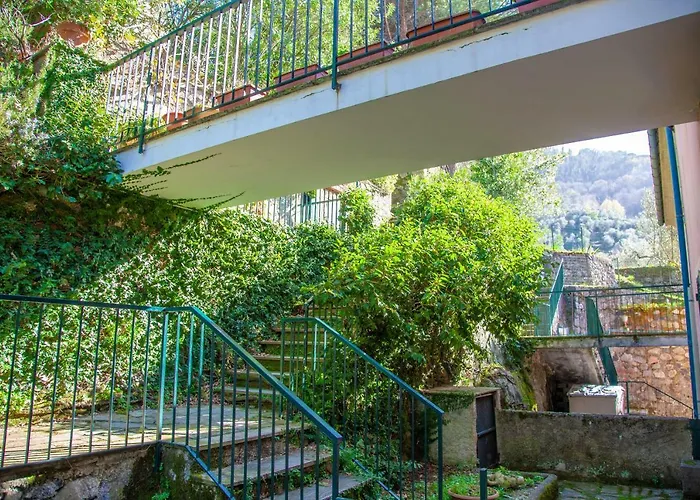 Nyaraló Olivi Del Mesco *