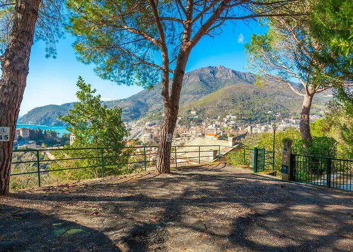 Olivi Del Mesco * Levanto