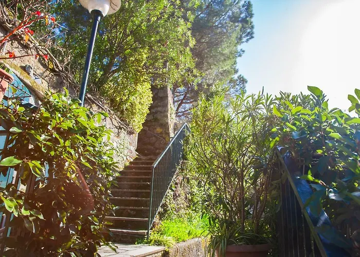 Nyaraló Olivi Del Mesco *